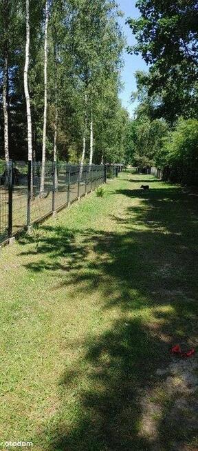 Strykowska /Łodzianka przy Lesie Łagiewnickim WZ