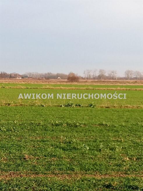 Działka siedliskowa Baranów Gole