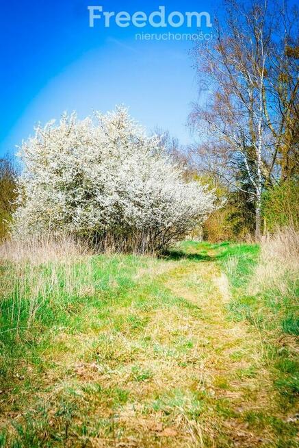 Nieruchomości gruntowe zabudowane – Brzyczno