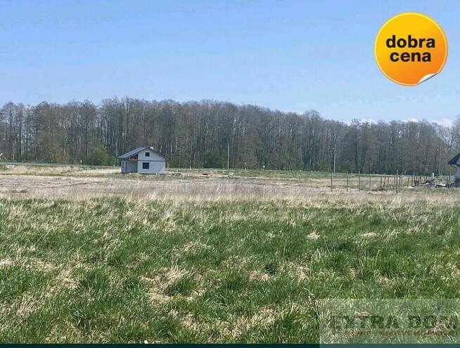 Działka Warnołęka