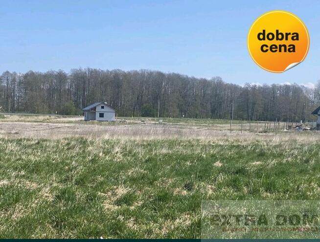 Działka Warnołęka