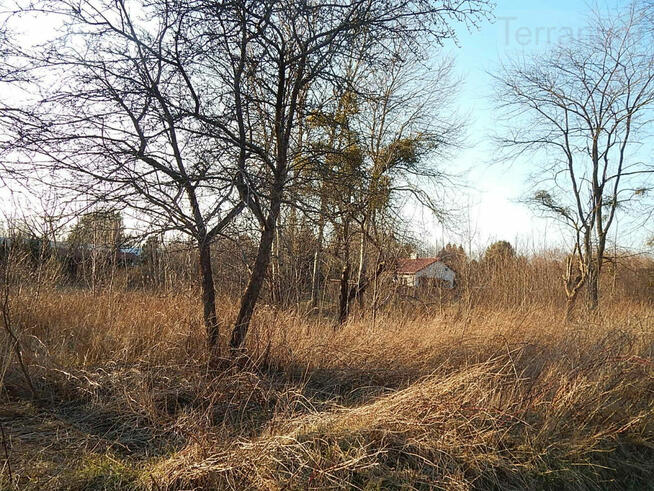 Działka budowlana Konstancin-Jeziorna, Słupska