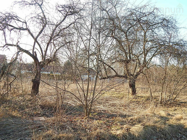 Działka budowlana Konstancin-Jeziorna, Słupska