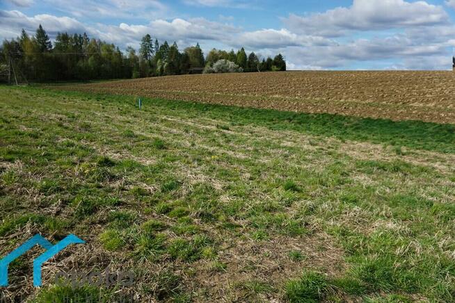 Działka Pogwizdów gm. Hażlach