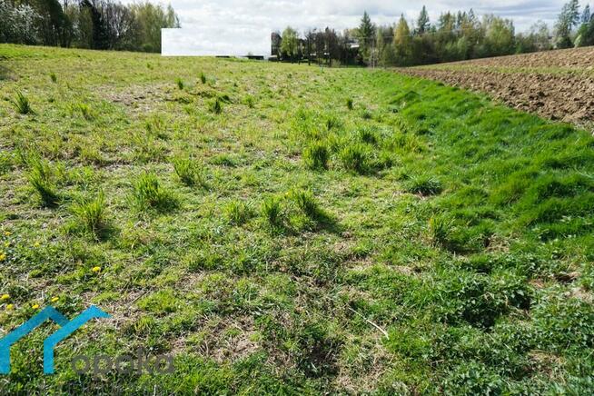 Działka Pogwizdów gm. Hażlach