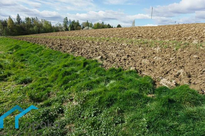 Działka Pogwizdów gm. Hażlach