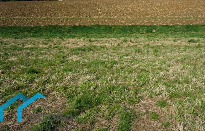 Działka Pogwizdów gm. Hażlach