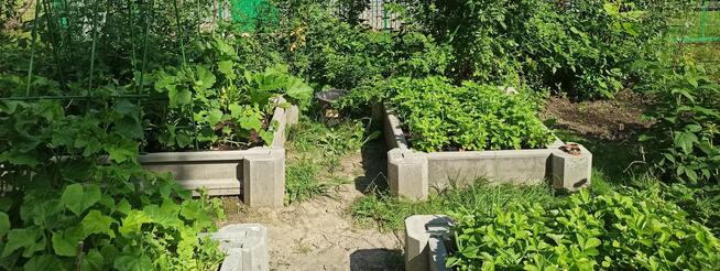 ROD Warszawskie na Rakowickiej