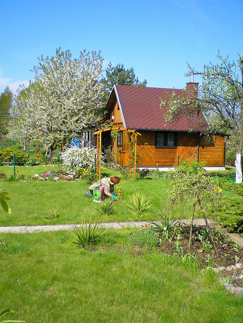 Sprzedam piekną, dużą działkę ROD Chotomów