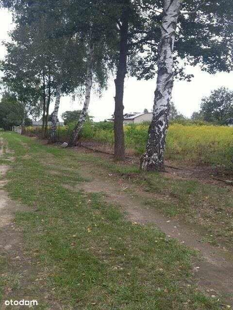 Strykowska /Łodzianka przy Lesie Łagiewnickim WZ