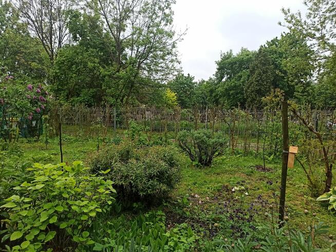 ROD Warszawskie na Rakowickiej