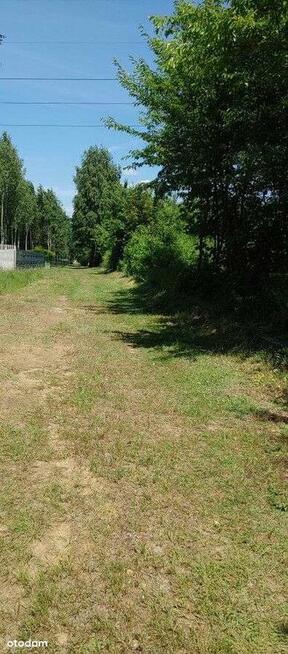 Strykowska /Łodzianka przy Lesie Łagiewnickim WZ