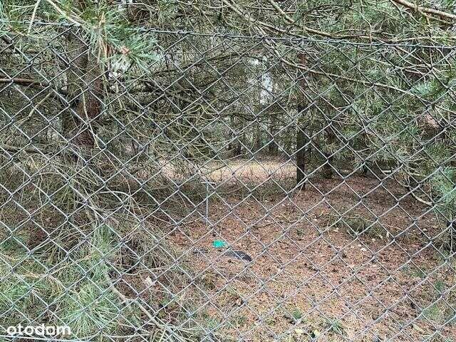 Nowa cena —Działka z WZ okolice Jeziorska