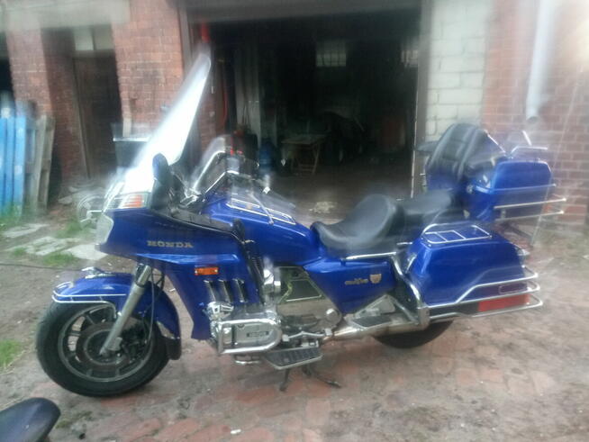 Poznam panią do stałego związku