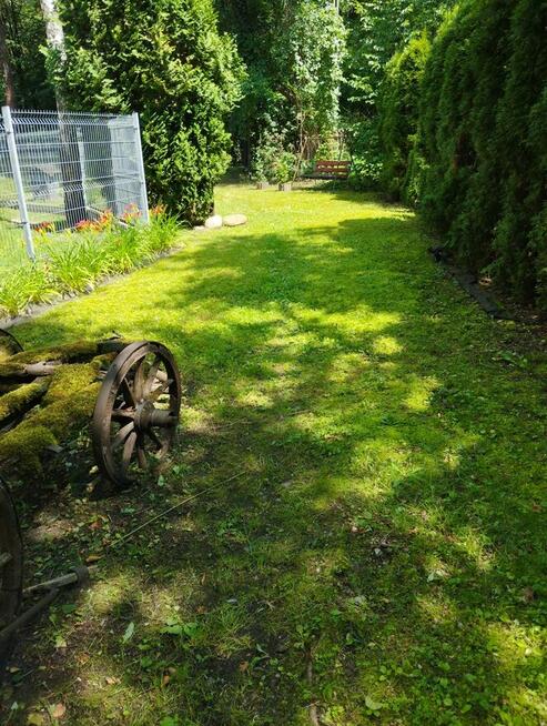 Koszenie trawy, trawnikow tel.692805945
