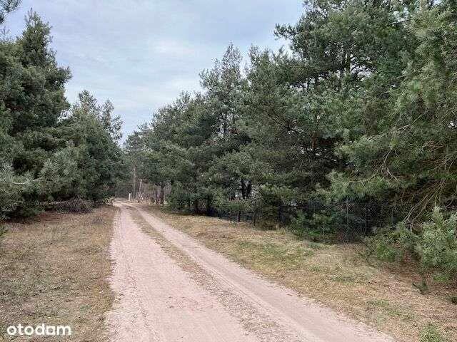 Nowa cena —Działka z WZ okolice Jeziorska