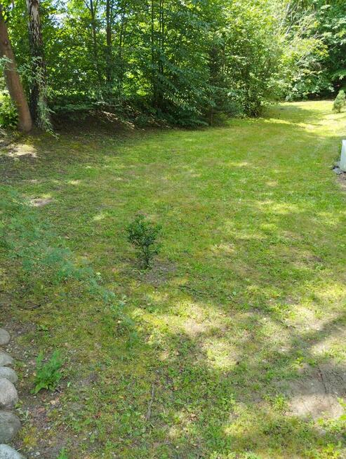 Koszenie trawy, trawnikow tel.692805945