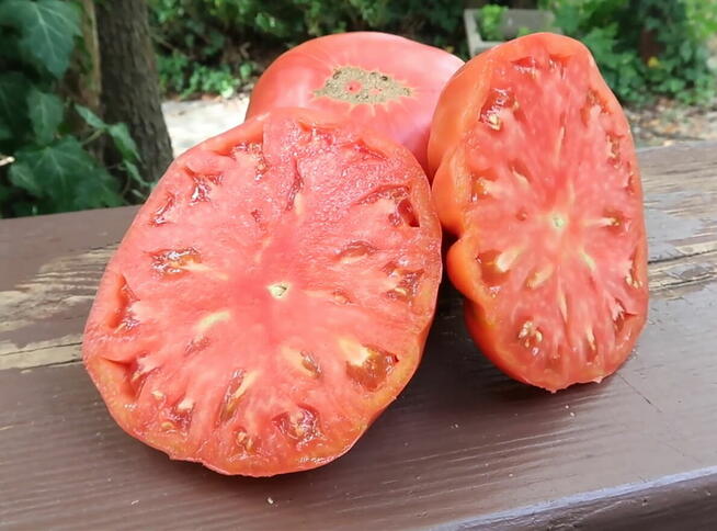 Pomidor San Marzano Mini Nasiona kolekcjonerskie