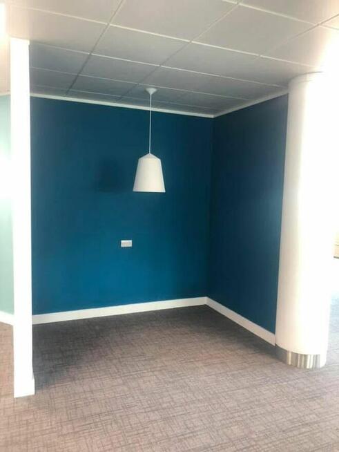 Malarz z dużym doświadczeniem szuka pracy