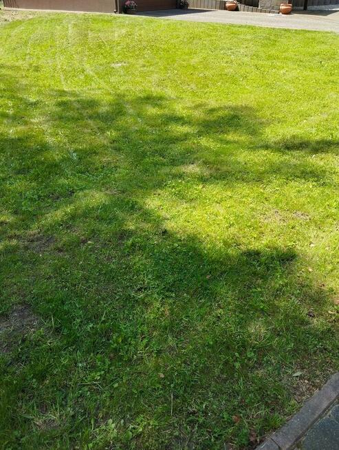 Koszenie trawy, trawnikow tel.692805945