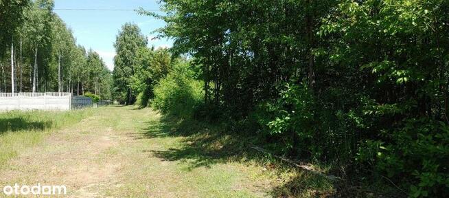 Strykowska /Łodzianka przy Lesie Łagiewnickim WZ