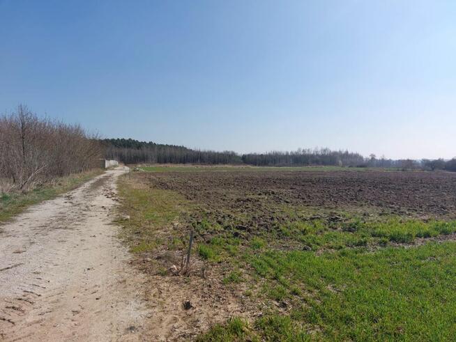 Działki 780 Gola 001 Wąsoska 218