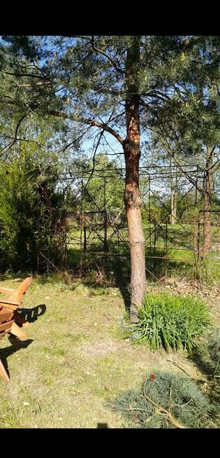 Dwie działki z domem do sprzedania 2100m2