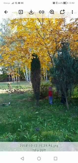 Dwie działki z domem do sprzedania 2100m2