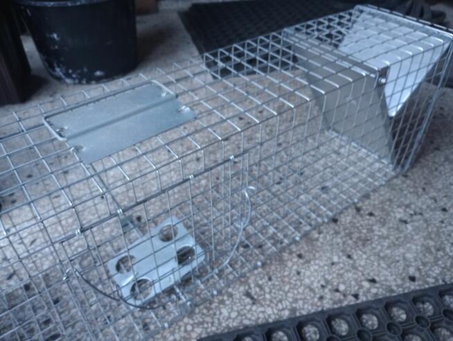 Sprzedam pułapkę na kuny, szczury