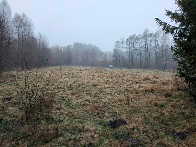 Działka budowlana obok lasu. 3000m2. Jeżewo