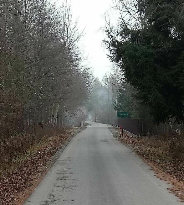 Działka budowlana obok lasu. 3000m2. Jeżewo