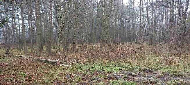 Działka budowlana obok lasu. 3000m2. Jeżewo