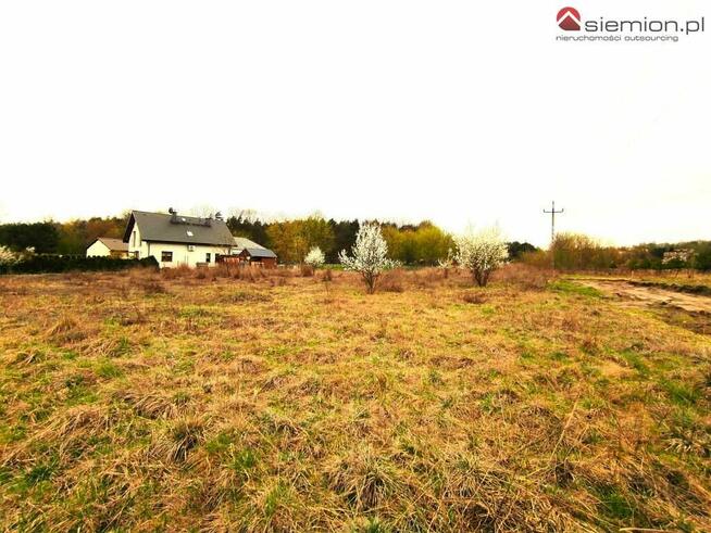 Działka budowlana Wojkowice, Brzeziny