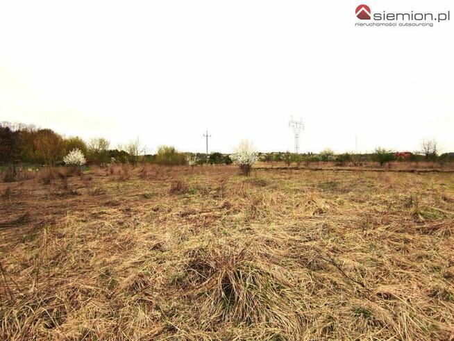 Działka budowlana Wojkowice, Brzeziny