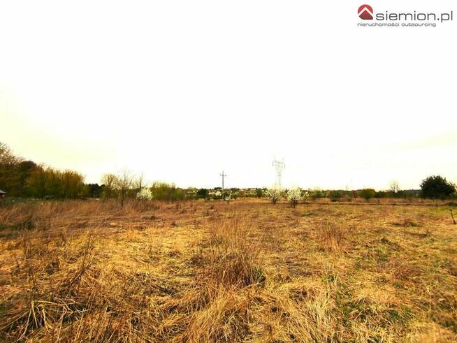 Działka budowlana Wojkowice, Brzeziny