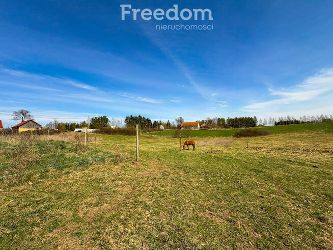 Siedlisko-dom,stajnia,stodoła,obora,2 ha,S7