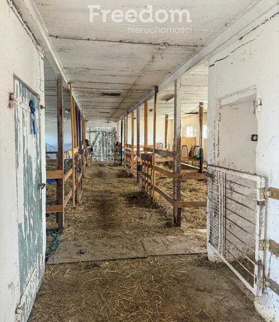 Siedlisko-dom,stajnia,stodoła,obora,2 ha,S7