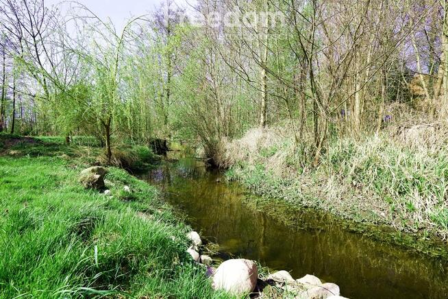 Dom ze stawem nad rzeką pośród pól i łąk