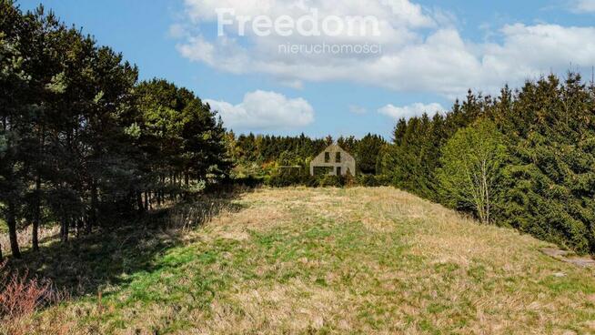 Dom wolnostojący z piękną działką Niekanin