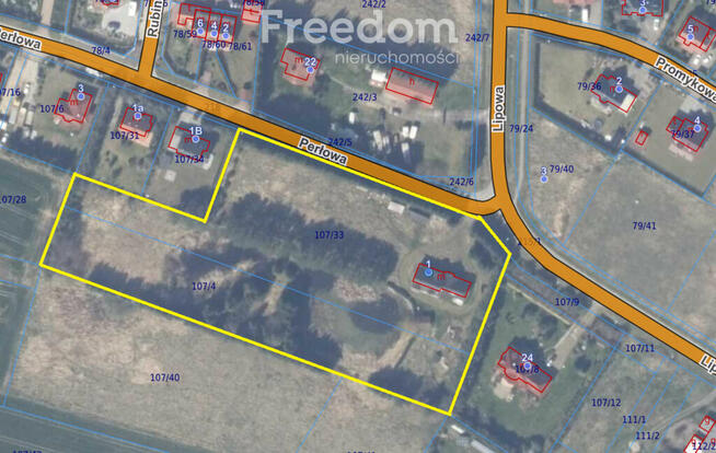 Dom wolnostojący z piękną działką Niekanin