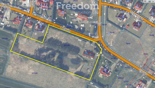 Dom wolnostojący z piękną działką Niekanin