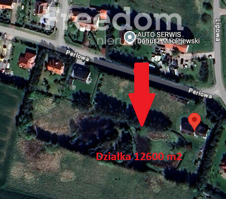 Dom wolnostojący z piękną działką Niekanin