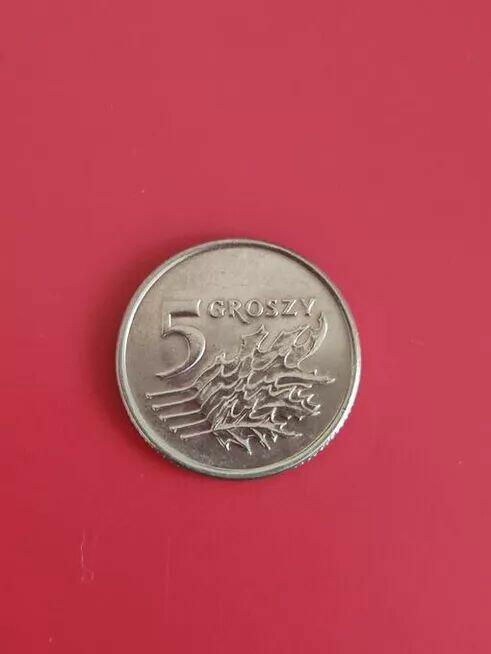 5 groszy 1993r. W kapslu ochronnym.