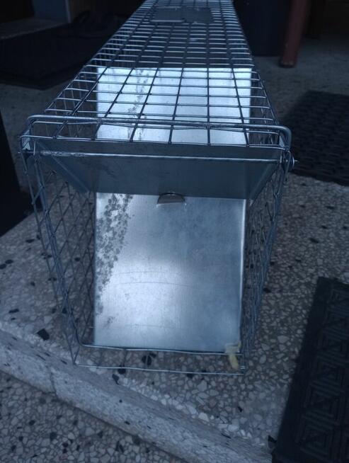 Sprzedam pułapkę na kuny, szczury