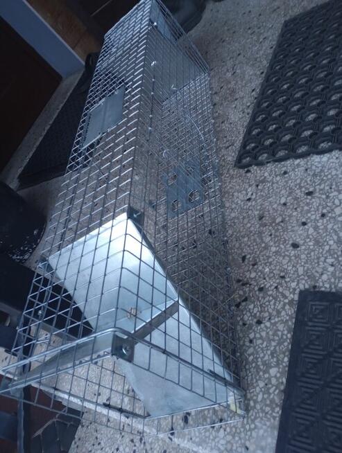 Sprzedam pułapkę na kuny, szczury