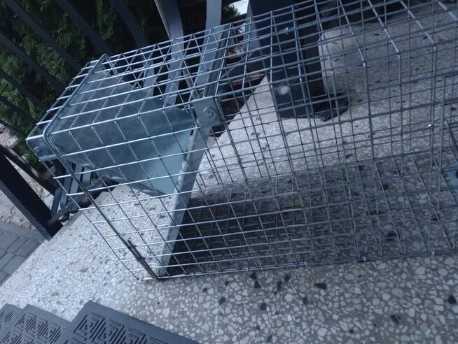 Sprzedam pułapkę na kuny, szczury