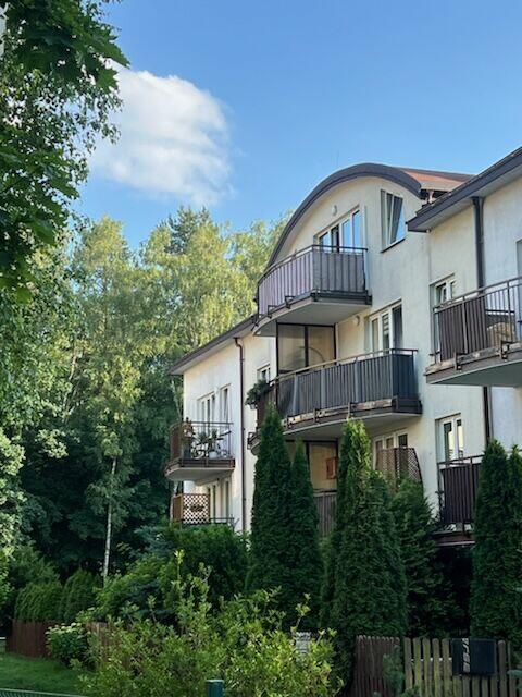 mieszakanie przy lesie