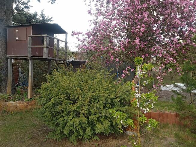 Działka rod Kruszyn Krajeński