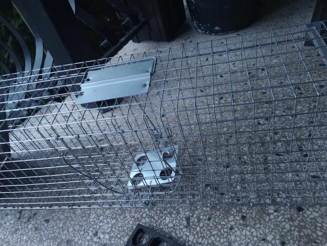 Sprzedam pułapkę na kuny, szczury