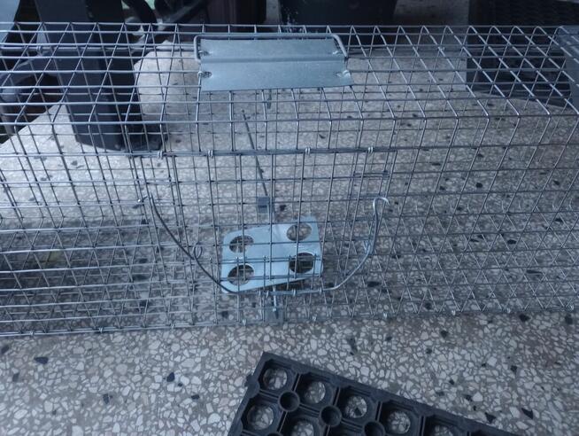 Sprzedam pułapkę na kuny, szczury